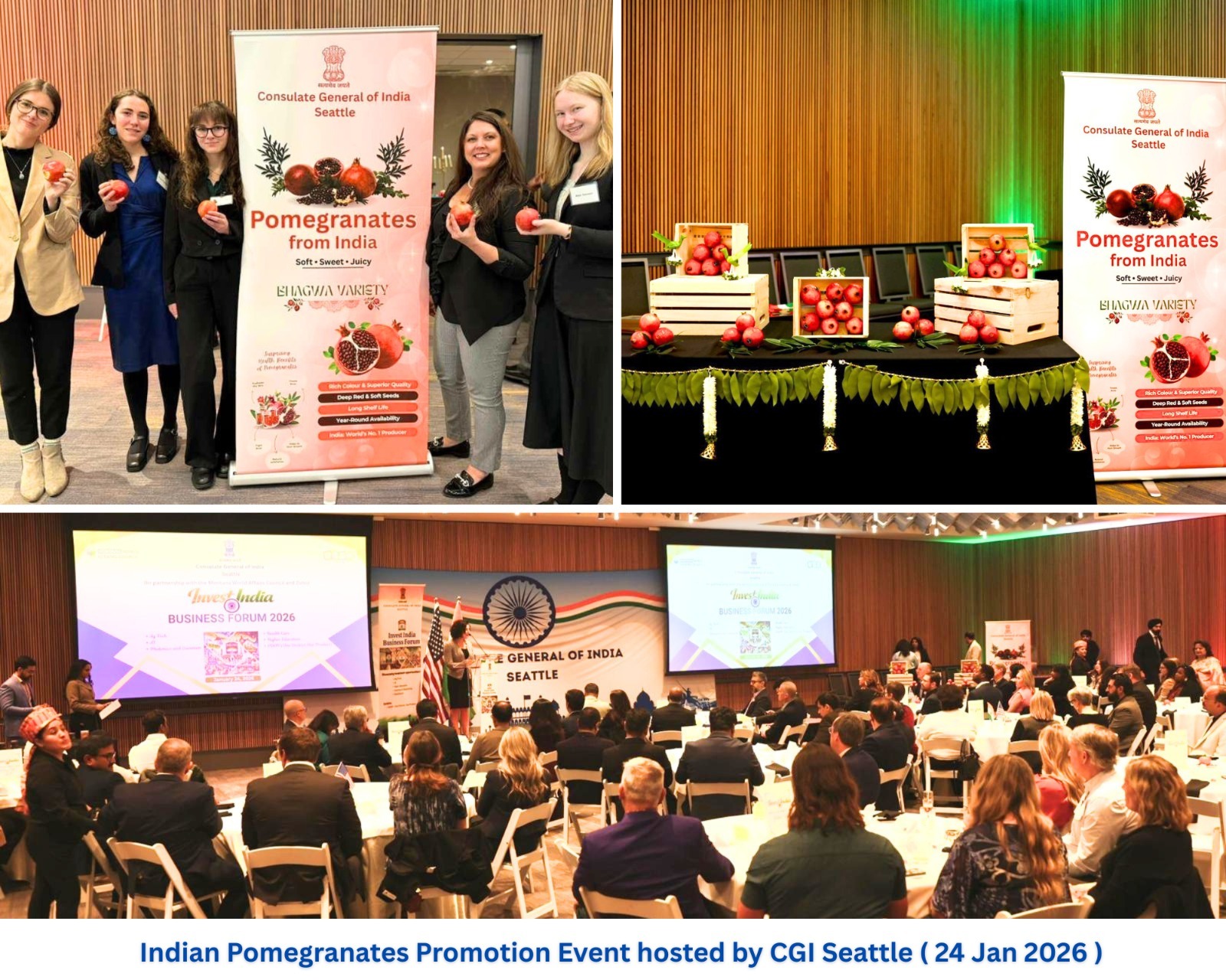  Pomegranates from India Now Available in the Greater Seattle Area