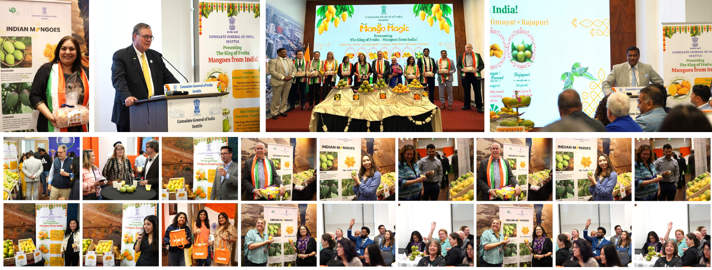  Celebrating the arrival of Mangoes from India to US Pacific Northwest