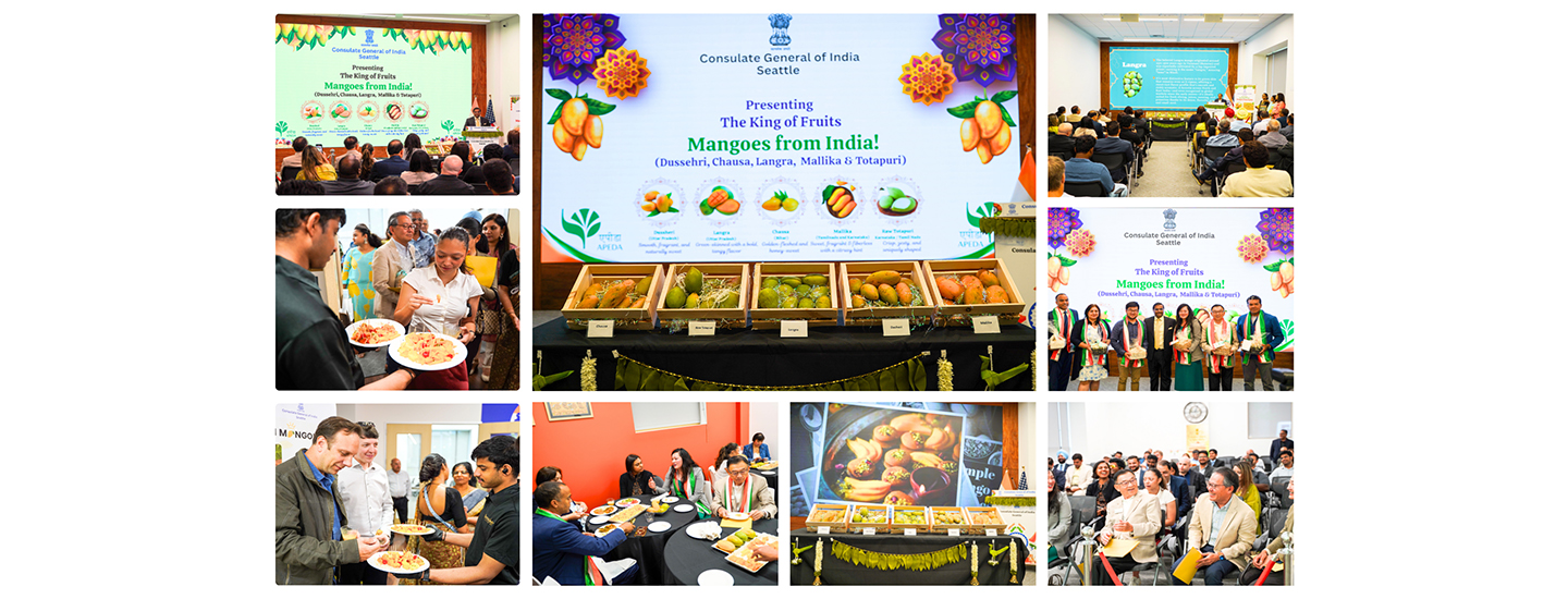  The Best of Indian Mangoes showcased in Seattle (10th July 2025)